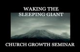 Welcome to WAKING THE SLEEPING GIANT CHURCH GROWTH … · •Training, organization and delegation is a must. •The pyramid principle and church growth barriers (deacons/ministry