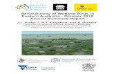 Aerial Survey of Wetland Birds in Eastern Australia ... · Menindee Lakes were dry or nearly dry with relatively few birds; Lake Cawndilla was the exception with large numbers of