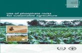 FAO Fertilizer and Plant Nutrition Bulletin No. 13 · Dry mixtures of PR with water-soluble phosphate fertilizers 95 Phosphate rock elemental sulphur assemblages 95 ... Asia 110 Sub-Saharan
