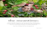 The Meantime - Step Two - Low Hanging Fruit · Title: The Meantime - Step Two - Low Hanging Fruit Author: Tad Hargrave Created Date: 9/11/2014 5:50:32 PM