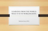 LEARNING FROM THE WORLD: WHAT IT IS TO WORLDSCHOOL...•Many families with this lifestyle see themselves as expatriates (expats) which tends to imply a longer stay in a country or