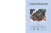 T P A C R F HELONIAN ESEARCH OUNDATION TURTLE AND …€¦ · 28 Turtle and Tortoise Newsletter, Issue 6 Generic Revisions of Emydine Turtles JAMES FORD PARHAM1,2 AND CHRIS R. FELDMAN3