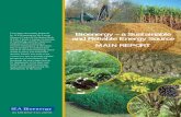 Bioenergy – a Sustainable and Reliable Energy Source · 2010. 1. 19. · This report was jointly prepared for IEA Bioenergy by the Energy Research Centre of the Netherlands (ECN),