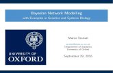 Bayesian Network Modelling · What Are Bayesian Networks? A Graph and a Probability Distribution Bayesian networks (BNs) are de ned by: anetwork structure, adirected acyclic graph