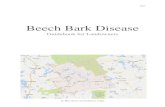 Beech Bark Disease - hallshawklakes.ca€¦ · Beech bark disease cycles through beech tree communities via dispersal of fungal spores carried by wind and rain. Spores infect other