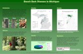 Beech Bark Disease in Michigan - Imagin€¦ · Beech Bark Disease (BBD) st arts when a scale insect (Cryptococcus fagisuga Lind.) pierces the bark; next a type of Nectria fungi invades