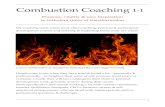 Combustion Coaching Explained - Arnold Timmerman · me to work with emotional, mental & physical trauma & blocks and with all kinds of identity crises. I moved to Wales to work as