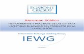 Resumen Público - Welcome to the Egmont Group · 2020. 4. 9. · Personas Políticamente Expuestas (PEP). El Glosario General proporciona definiciones de PEP nacionales y extranjeras,