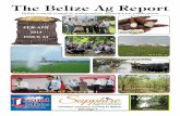 The Belize Ag Report · improve productivity and incomes of small and medium-sized farmers. With respect to rice, the strategy is to achieve a higher self-sufficiency level, reduce
