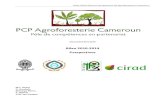 Bilan 2010 2014 Perspectives - Cirad Agroforesterie...1 Rapport de la Mission d’Evaluation 25‐28 Jan. 2010 Pôle de Compétence en Partenariat, Bilans et Perspectives, pp 15 2