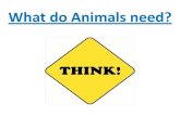 What do Animals need?grade2c.weebly.com/uploads/8/7/6/9/8769904/presentation_2.pdf · What do Animals need? Animals need: Food Water. Who will need more food? OR A bear A cat. A whale