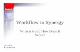 Workflow in Synergydginetworks.com/download/Workflow/Workflow - What Is It.pdf · Workflow May be Created by a Resource or through the Event Manager as a Result of an Action or Inaction.