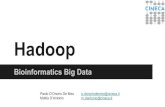 Bioinformatics Big Data - Users < TWikitwiki.di.uniroma1.it/pub/CI/WebHome/BioHadoop.pdf · 2014. 3. 25. · Hadoop Bioinformatics Big Data Paolo D’Onorio De Meo p.donoriodemeo@cineca.it