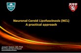 Neuronal Ceroid Lipofuscinosis (NCL) A practical approach...Major PPT1 6-24 months Cognitive/motor decline, Seizures, ↓VA Rare KCTD7 8-9 months Late-infantile (LINCL) Classic Major