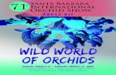 New Orchid Show · 2016. 2. 23. · oldest celebrations of orchids. The 71st annual Santa Barbara International Orchid Show’s theme, “Wild World of Orchids,” pays homage to