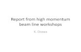 Report of high momentum beam line - KEK · 2013. 1. 9. · New High Momentum Beam Line Construction of New Beam Line is proposed as a high priority plan of the lab. Characteristics