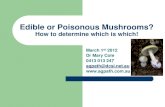 Edible or Poisonous Mushrooms? · EATING MUSHROOMS Do not eat wild mushrooms raw! First meal of season, eat very little –wait 8-10 hours – if no reaction, then go ahead Allergies