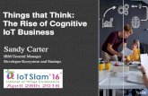 Sandy Carter - IoT Slam®...and an explosion of IoT startups $735B market for smarter devices 20163 $445B rev. opportunity in consumer electronics2 $4.5T impact on Global Business2