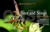 Bites and Stings - ohsu.edu · Arthropod Bites in U.S. Vaughn MG, Holzer KJ, Carbone JT, Salas-Wright CP. Arthropod Bites and Stings Treated in Emergency Departments: Recent Trends