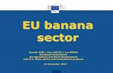 EU banana sector · 2019. 10. 10. · EU banana sector 12 December 2017 . 2 EU PRODUCTION AND PRICES (MS notifications of 15.10.2017) May – August 2017 (actual) September – December