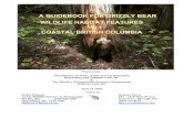 A GUIDEBOOK FOR GRIZZLY BEAR WILDLIFE HABITAT ......Black Bear Den Photo.....35 3. References.....36 A Guidebook for Grizzly Bear Habitat Features in Coastal BC ... area, such as bears,