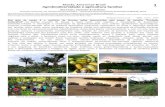 Maués, Amazonas-Brasil Agrobiodiversidade e agricultura ... · Gina Frausin1, Eric Brosler2 & Laís Bentes3 1 Lancaster University, UK, Instituto de Conservação e 2,3 Desenvolvimento