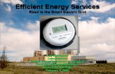 Efficient Energy Services - Michigan€¦ · Radial topology Network topology Few sensors Monitors and sensors throughout “Blind” Self-monitoring Manual restoration Semi-Automated