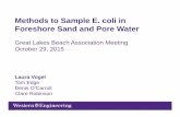 GLBA10-29-VogelLaura-Methods to sample E Coli in Foreshore ... · Methods to Sample E. coli in Foreshore Sand and Pore Water Great Lakes Beach Association Meeting October 29, 2015