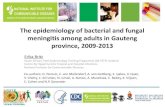 The epidemiology of bacterial and fungal meningitis among ... … · tuberculosis or a positive TB-PCR (or Xpert MTB/Rif Assay) on CSF 4) Other bacterial meningitis (OBM): bacteria