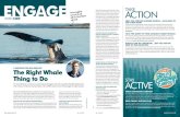 TAKE ACTION - cwf-fcf.org · Learn about the whales of Atlantic Canada and find out where the animals are swimming in near real time. The Whales, Habitat and Listening Experiment