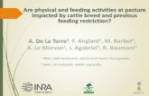 Are physical and feeding activities at pasture impacted by ... la T… · Are physical and feeding activities at pasture impacted by cattle breed and previous feeding restriction?