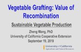 Vegetable Grafting: Value of Recombination · China: Grafting started in 500s. Japan and Korea: Farmers began using grafting as a tool for combating diseases and enhancing growth