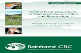 ANIMAL-PLANT INTERACTIONSrainforest-crc.jcu.edu.au/publications/animalplant_interactions.pdf · ANIMAL-PLANT INTERACTIONS IN RAINFOREST CONSERVATION AND RESTORATION Workshop Proceedings