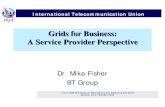 Grids for Business: A Service Provider Perspective · A Service Provider Perspective Dr. Mike Fisher BT Group. 2 ITU-T ITU-T/OGF Workshop on Next Generation Networks and Grids Geneva,