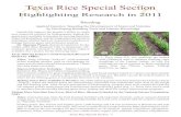 Texas Rice Special Section - beaumont.tamu.edu · Texas Rice Special Section - III at shannon.pinson@ars.usda.gov. Development of Locally-Adapted Male-Sterile and Restorer Rice Germplasm