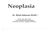 Neoplasia - uoanbar.edu.iq · Neoplasia. Neoplasm’ or ‘tumor’: new growth Neoplasm or tumor is ‘a mass of tissue formed as a result of abnormal, excessive, uncoordinated and