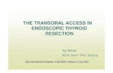 THE TRANSORAL ACCESS IN ENDOSCOPIC THYROID RESECTION · ENDOSCOPIC THYROID RESECTION. Kai Witzel. NESA, Berlin / PMU, Salzburg. 15th International Congress of the EAES, Athens 4-7