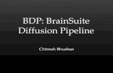 BDP: BrainSuite Diffusion Pipeline · Diffusion MRI uses fast acquisition – Echo planar Imaging (EPI) ... Jezzard 1995, 2011, Bhushan et al. 2012 Field inhomogeneity map Echo spacing