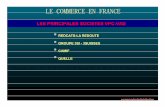LE COMMERCE EN FRANCE€¦ · GROUPE 3SI - 3SUISSES CAMIF QUELLE comprendreladistribution. LE COMMERCE EN FRANCE REDCATS GROUP HISTORIQUE CHIFFRES CLES IMPLANTATIONS LES DIVISIONS
