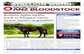 Read Tomorrow's Issue For: track as Kingstar toasts Steve ...€¦ · 15.09.2020  · Arson Annie, who has a Warwick maiden . placing to her credit from seven career starts, would