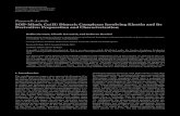 SOD-MimicCu(II)DimericComplexesInvolvingKinetinandIts ...downloads.hindawi.com/journals/bca/2012/704329.pdf · 2 Bioinorganic Chemistry and Applications 13 12 11 10 9 9 8 7 6 6 5