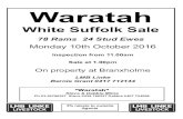 Waratah€¦ · The flock is Brucellosis accredited (Accreditation No. 3463), OJD MAP MN3 - V (VS1167). wt Wwt Pwwt Pfat Pemd Pwec Lamb 2020 + Sale rams average 0.32 9.9 15.8-0.35