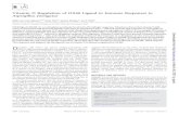 Vitamin D Regulation of OX40 Ligand in Immune Responses to ... · Vitamin D Regulation of OX40 Ligand in Immune Responses to Aspergillus fumigatus Nikki Lynn Hue Nguyen,a,b* Kong