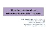 Reviewed outbreaks of Zika virus in Thailand · Nigeria_AEN75265.1|:3063-3307 polyprotein, partial [Zika virus] Malaysia_AEN75264.1|:3069-3313 polyprotein, partial [Zika virus] Cambodia_AFD30972.1|:3069-3313