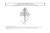 NORTH AMERICAN NATIVE ORCHID JOURNALhort.ufl.edu/plant-restoration/kane-lab/orchids/pdf/articles/25... · The North American Native Orchid Journal (ISSN 1084-7332) is a publication