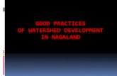 GOOD PRACTICES OF WATERSHED DEVELOPMENT IN NAGALANDdolr.gov.in/sites/default/files/Nagaland-Best Practice.pdf · Black pepper Betelvine Ginger, Turmeric etc Pisciculture Beekeeping