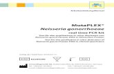 MutaPLEX® Neisseria gonorrhoeae€¦ · Neisseria-gonorrhoeae-DNA in klinischen Proben mittels Real-time-PCR in offenen Real-time-PCR-Systemen (z.B. LightCycler 480 [Roche], RotorGene