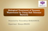 Biological Treatment of Tannery Wastewater by Using Salt ...jds/pdf/2013Seminar presentation/Marjan... · All of tannery industries are located near the Tuul River, which mainly contributes