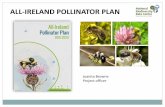 ALL-IRELAND POLLINATOR PLAN · Butterbur Coltsfoot Foxglove Radish Turnip Fleabane Red bartsia Native plants Good for all bees, or particularly important for honeybees, bumblebees