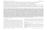 PLoS BIOLOGY Dorsoventral Patterning in Hemichordates ...kirschner.med.harvard.edu/files/papers/Lowe-PLoS_8-06.pdf · Dorsoventral Patterning in Hemichordates: Insights into Early